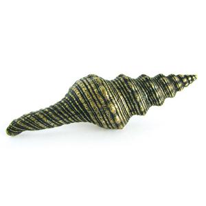 Emenee OR418-ABB Premier Collection Small Spindel 3-3/4 inch x 1-1/4 inch in Antique Bright Brass Sea Life Series